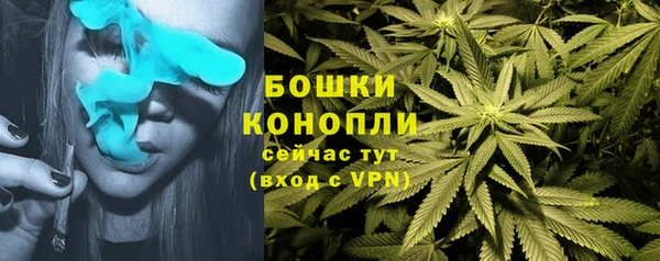 дмт Вяземский