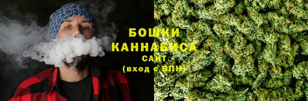 тгк Горняк