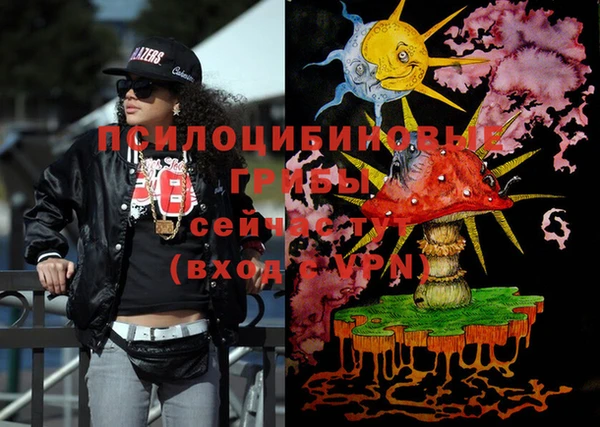 дмт Вяземский