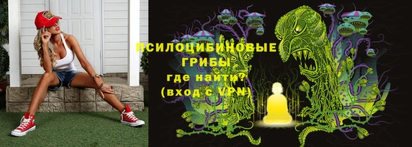 дмт Вяземский