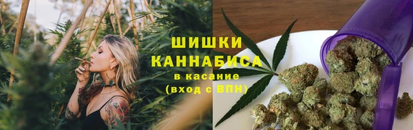 тгк Горняк