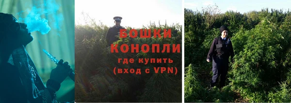 дмт Вяземский