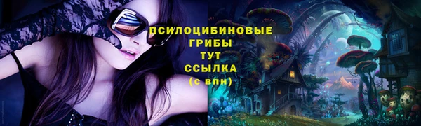 дмт Вяземский