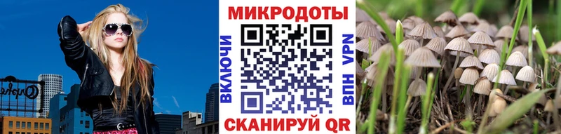 Купить где  Сосновый Бор  Псилоцибиновые грибы MAGIC MUSHROOMS 